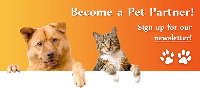 Pet Partner
