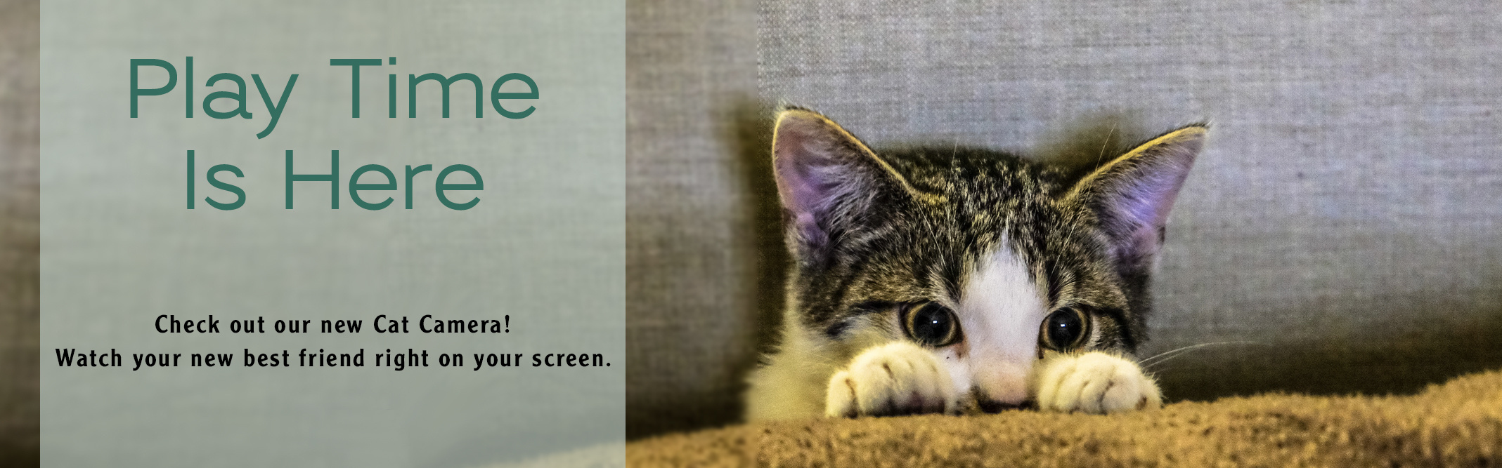 Avery Humane Society