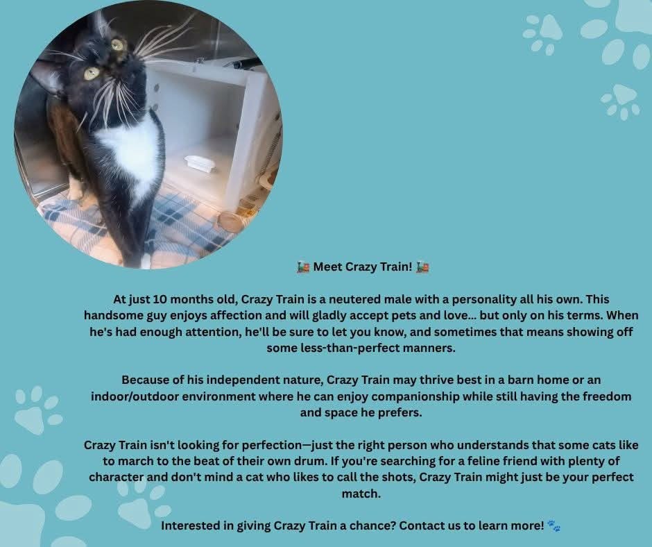 Crazy Train, for Barn Cat Program