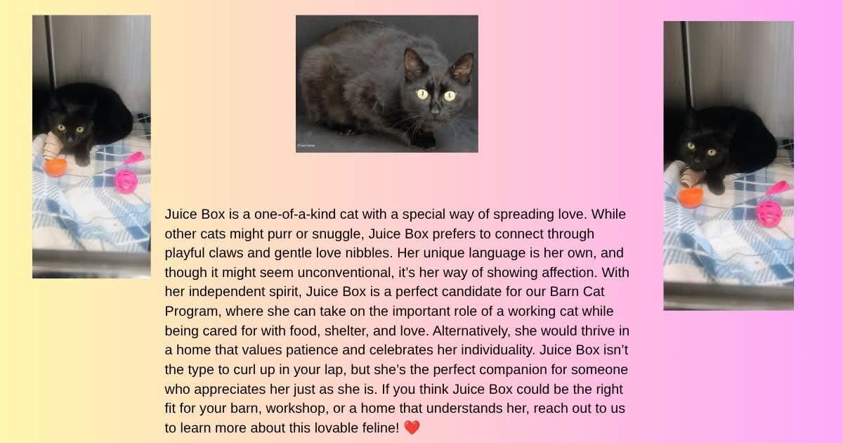 Juice Box, for Barn Cat Program