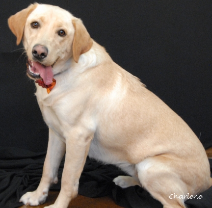 Maggie