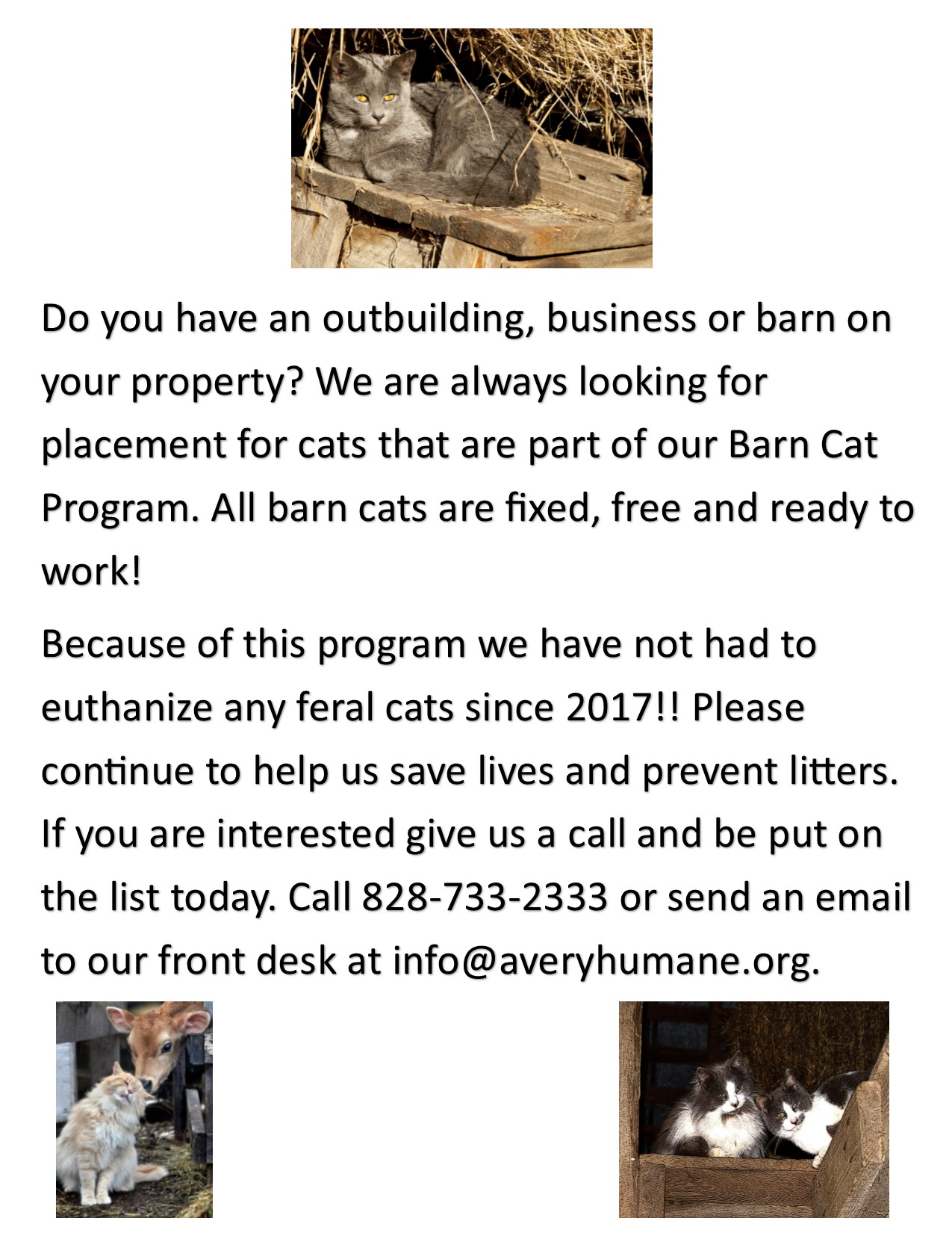 Barn Cat Program