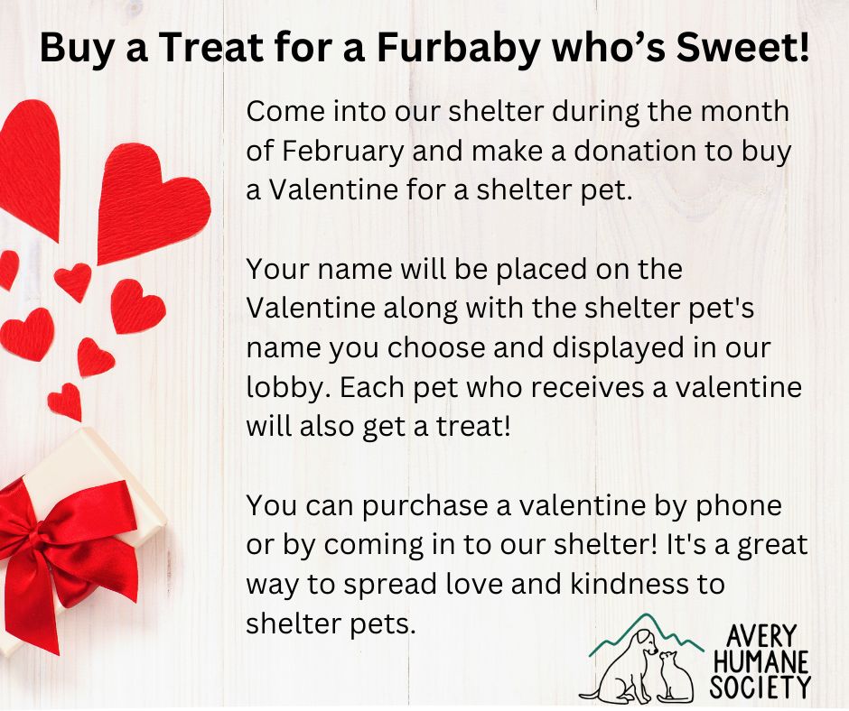 Buy a Treat for a Furbaby who’s Sweet! 2025