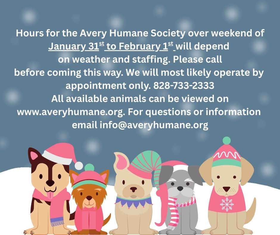 Hours for the Avery Humane Society this weekend will depend on weather and staffing- Please call before coming this way- We will most likely operate by appointment only- 828-733-2333 All available
