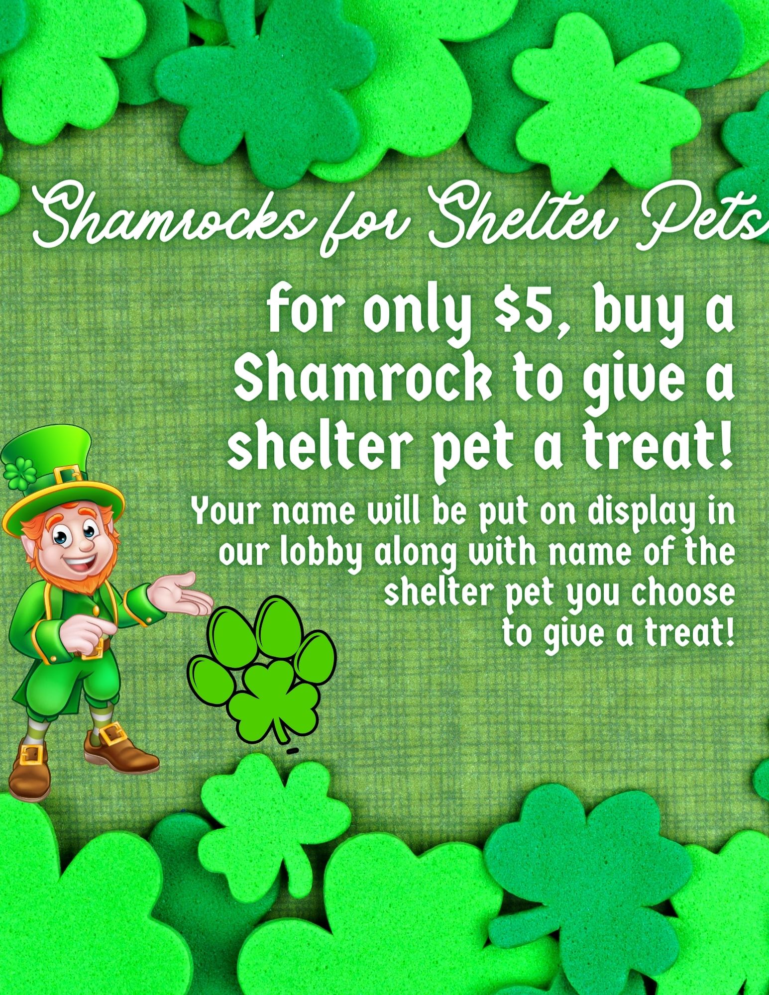 Shamrocks for Shelter Pets(2)