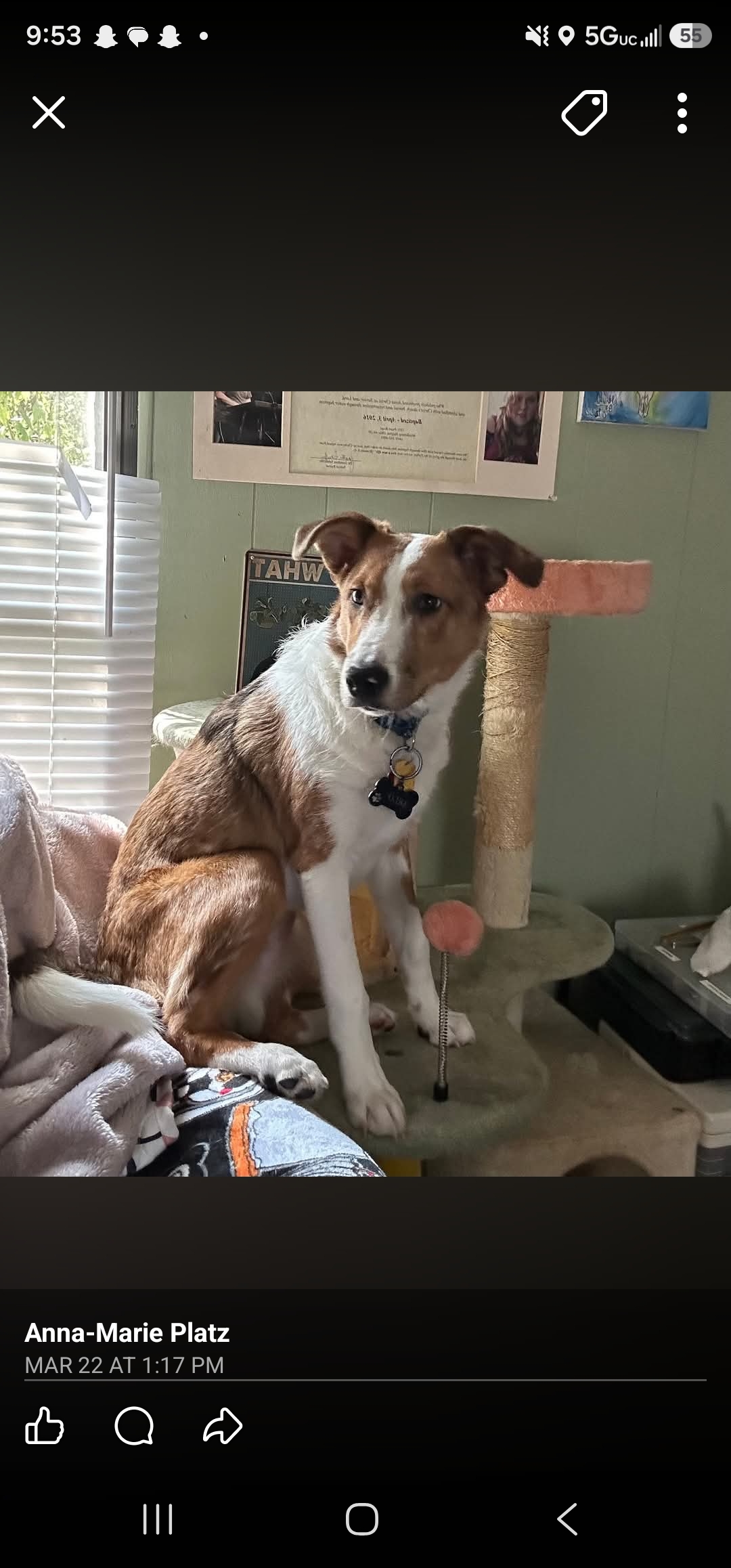 Arlo